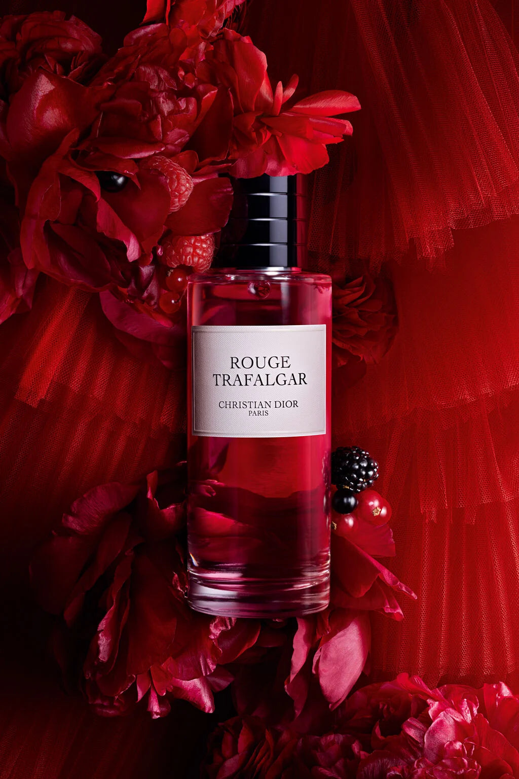 DIOR - ROUGE TRAFALGAR